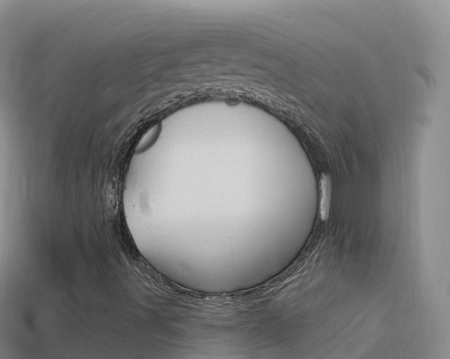 X0000114631491200910201011