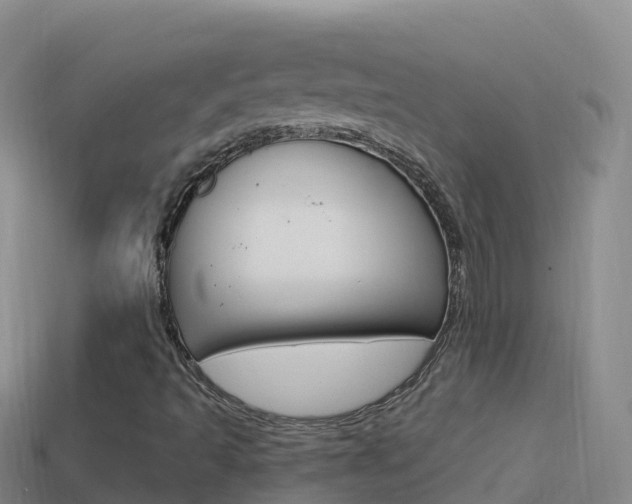 X0000114631493200910201011