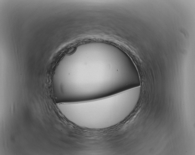 X0000114631494200910201011