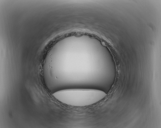 X0000114631495200910201011
