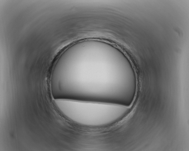X0000114631497200910201011