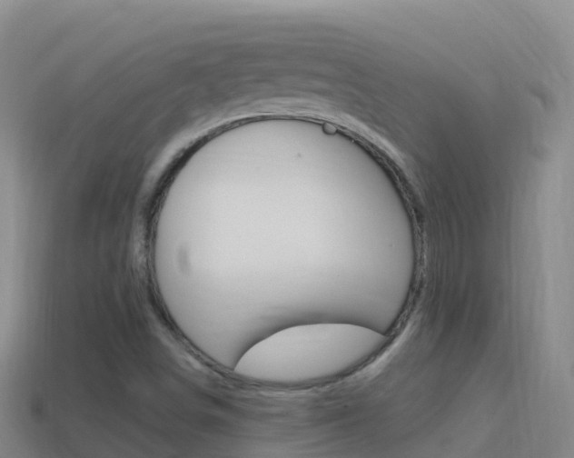 X0000114631498200910201011