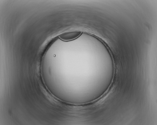 X0000114631499200910201011