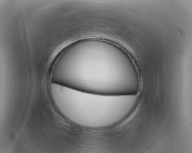 X0000114631501200910201011