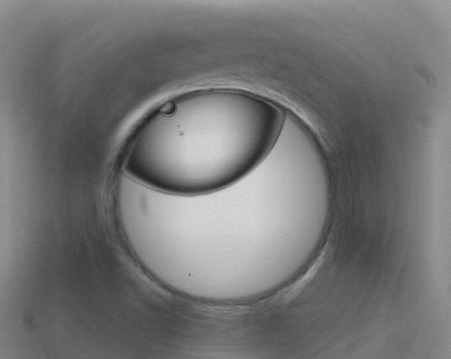 X0000114631502200910201011