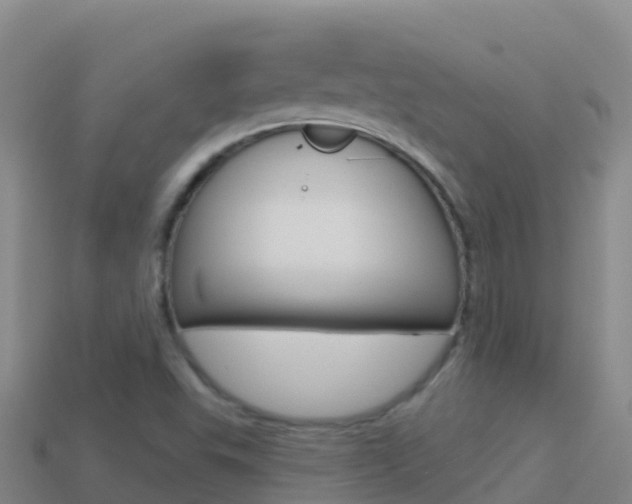 X0000114631503200910201011