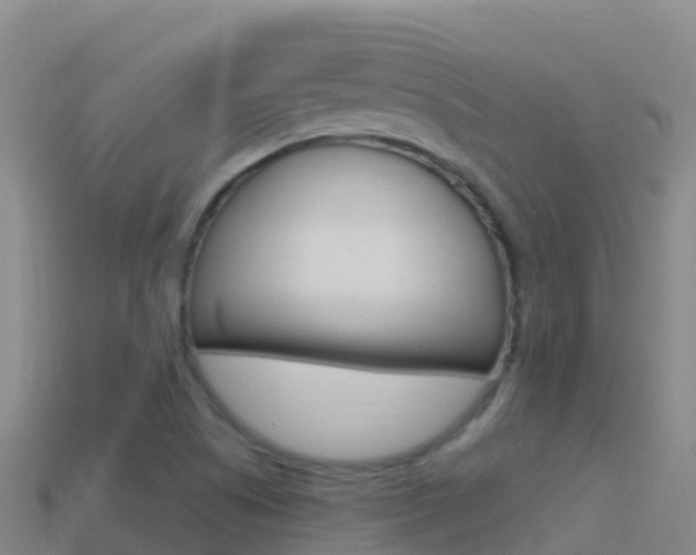 X0000114631505200910201011