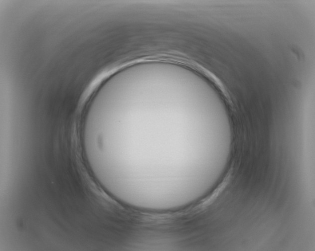 X0000114631506200910201011