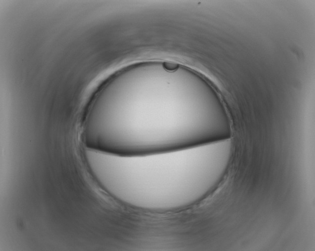 X0000114631507200910201011