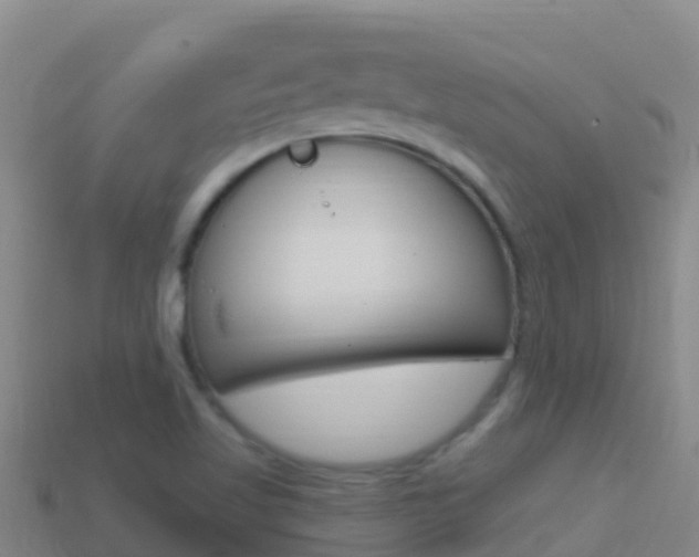 X0000114631509200910201011