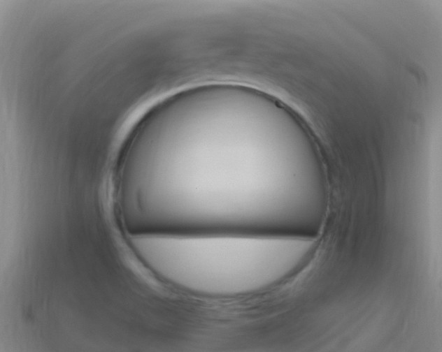 X0000114631511200910201011