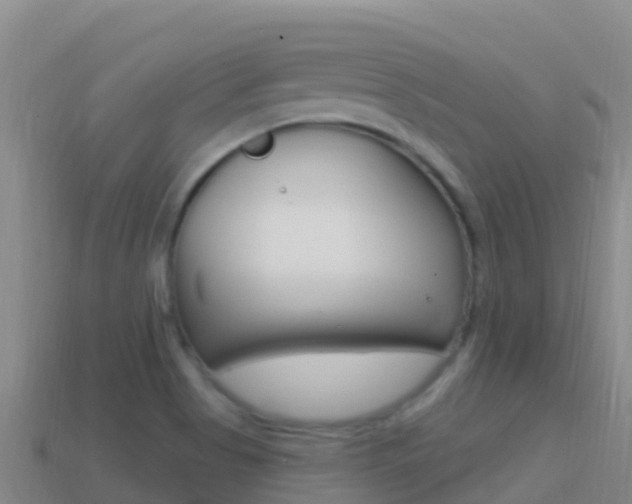 X0000114631513200910201011