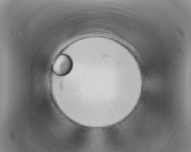 X0000114631514200910201011