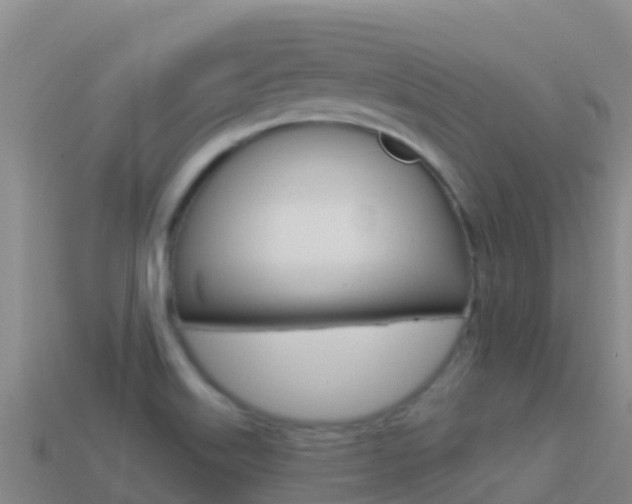 X0000114631515200910201011
