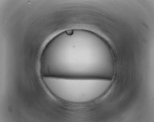 X0000114631517200910201012