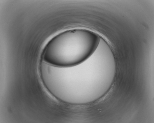 X0000114631518200910201012