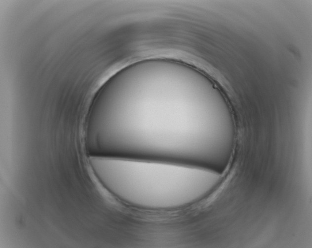 X0000114631521200910201012