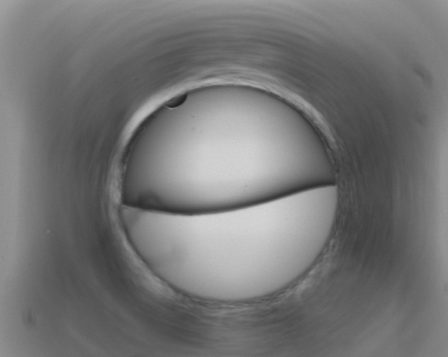 X0000114631522200910201012