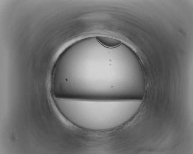 X0000114631523200910201012