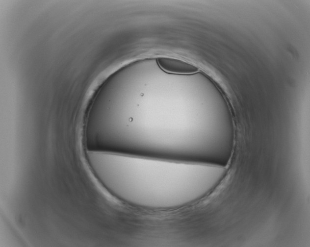 X0000114631525200910201012