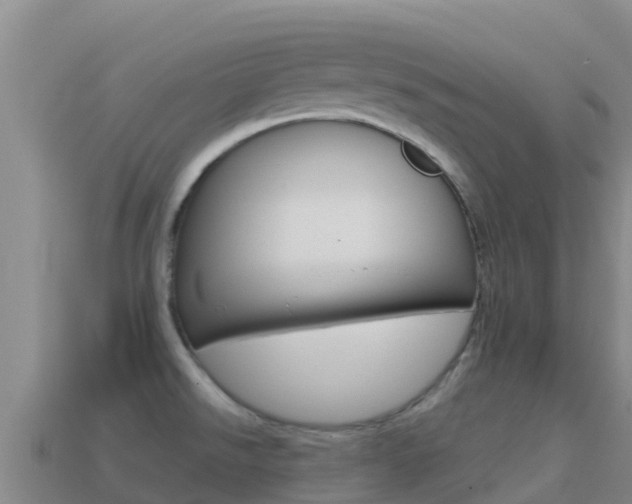 X0000114631526200910201012