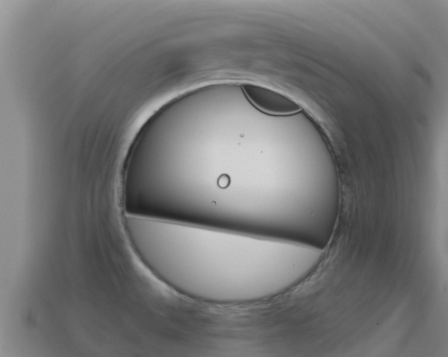 X0000114631527200910201012