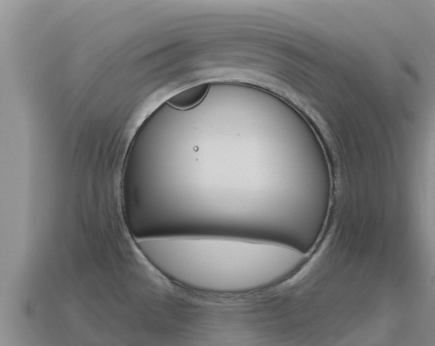 X0000114631529200910201012