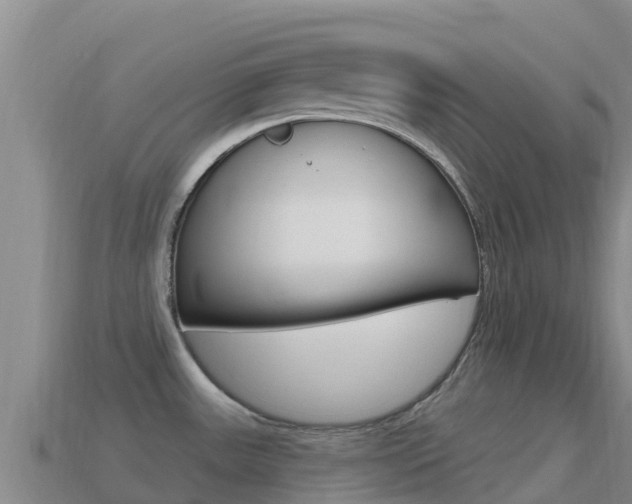 X0000114631531200910201012