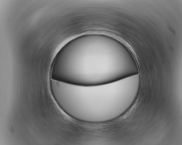 X0000114631533200910201012