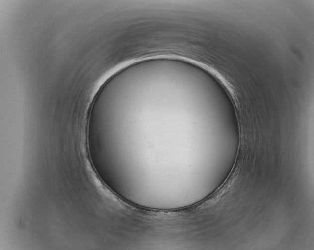 X0000114631534200910201012