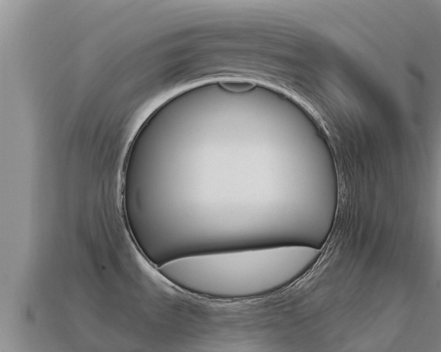 X0000114631535200910201012