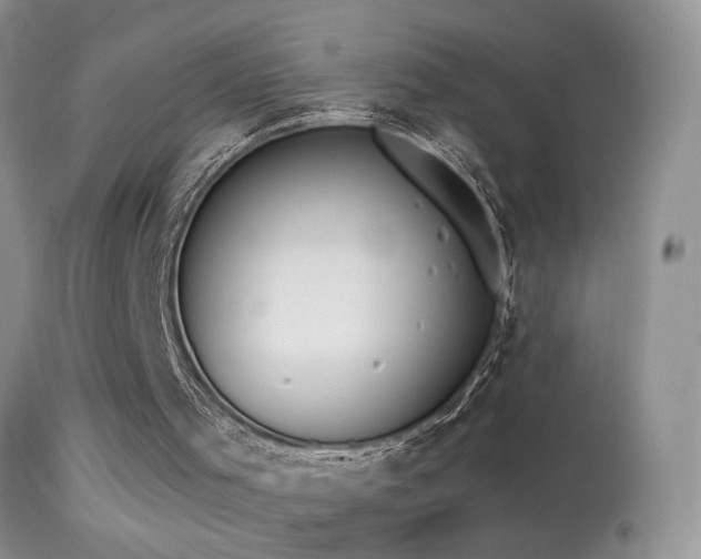 X0000114630001200910201430