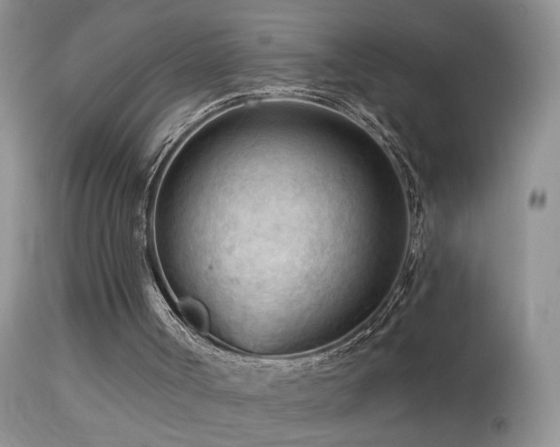 X0000114630002200910201430