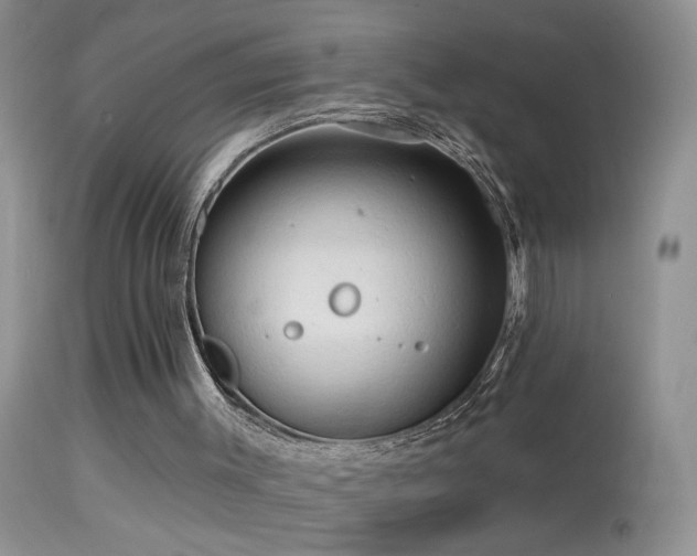 X0000114630003200910201430