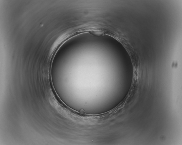 X0000114630004200910201430