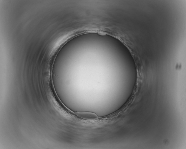 X0000114630005200910201430