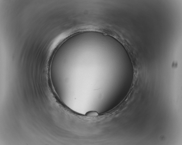 X0000114630006200910201430