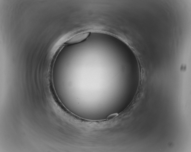 X0000114630007200910201430