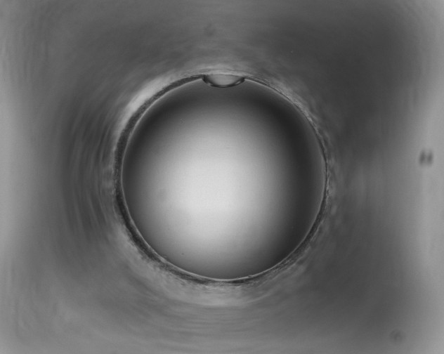 X0000114630008200910201430