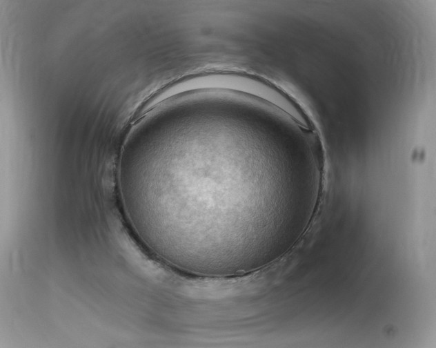 X0000114630009200910201430