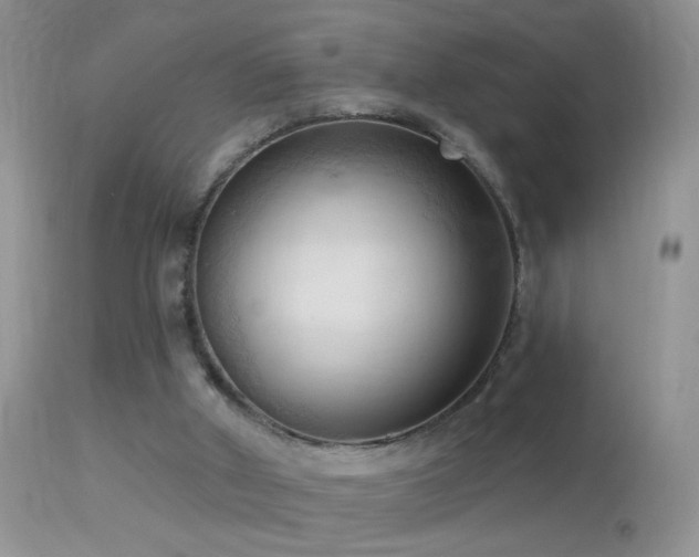 X0000114630010200910201430