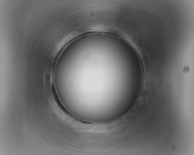 X0000114630011200910201430