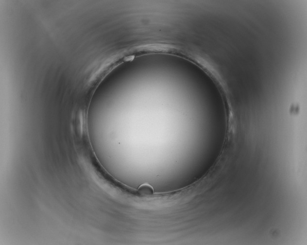 X0000114630013200910201430