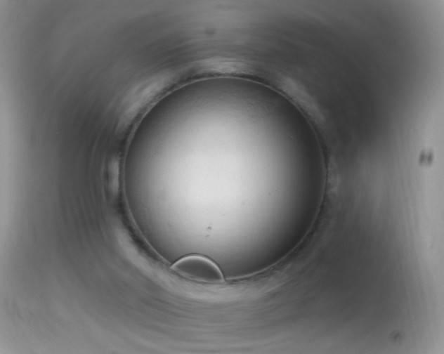 X0000114630014200910201430