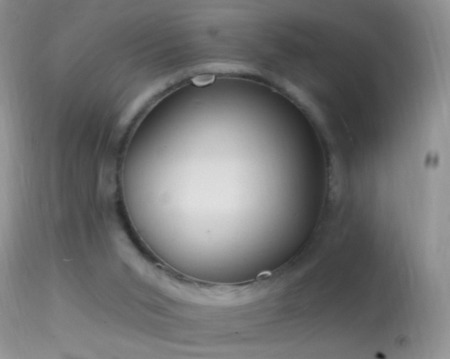 X0000114630015200910201430