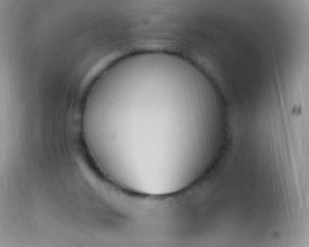 X0000114630016200910201430