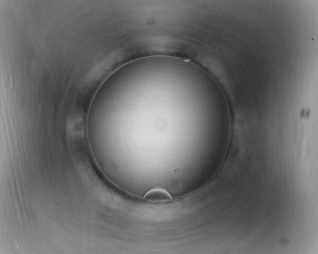 X0000114630017200910201430