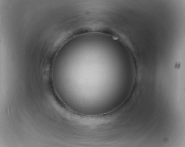 X0000114630018200910201430