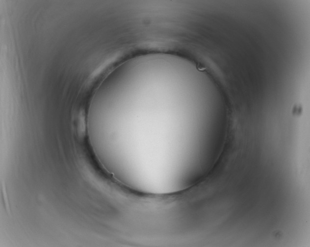 X0000114630020200910201430