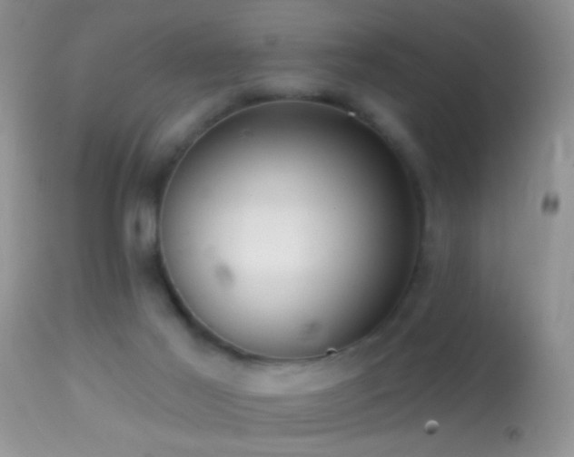 X0000114630021200910201430